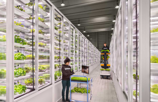 In.farm Como será a alimentação do futuro | Flavors & Botanicals In.farm Como será a alimentação do futuro | Flavors & Botanicals