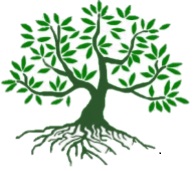 Folhas: óleos de menta, louro, manjericão.