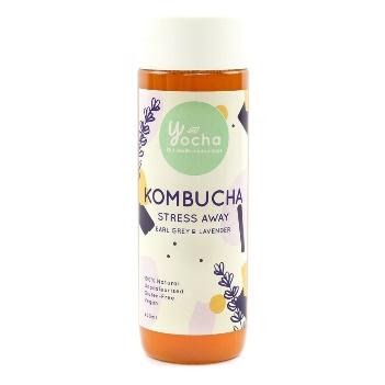 mental-health-food-and-drinks-for-stress-relief-and-restful-sleep-kombucha-duas-rodas