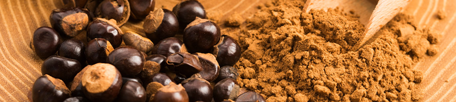 Sementes de guaraná e pó marrom.