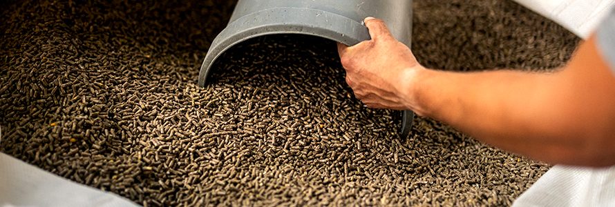 Despejando pellets de ração animal