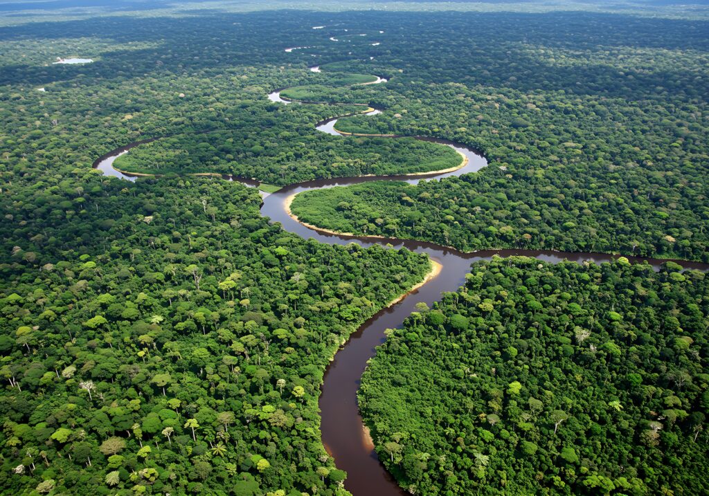 A imagem representa uma paisagem da Amazônia, com uma extensa floresta verde e um rio sinuoso atravessando a vegetação.
Amazonia: grande região de floresta tropical localizada principalmente na América do Sul, com a maior parte no Brasil.